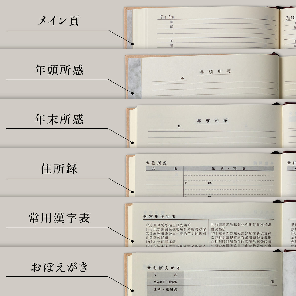 10年用日記《日付表示あり》B5 アピカ D313