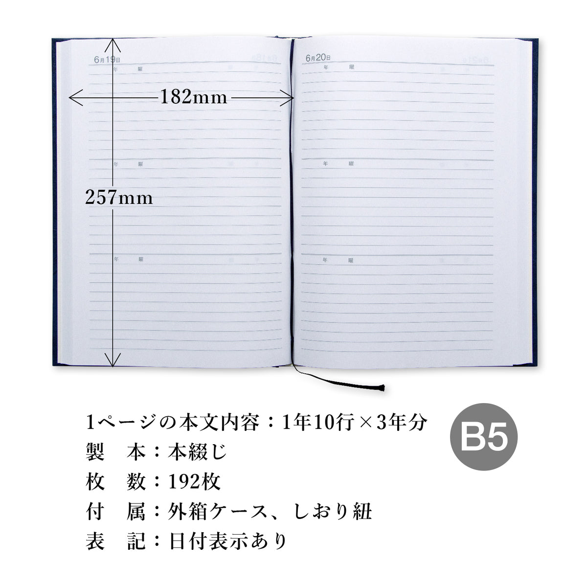 3年用日記《日付表示あり》B5 アピカ D302 日記帳