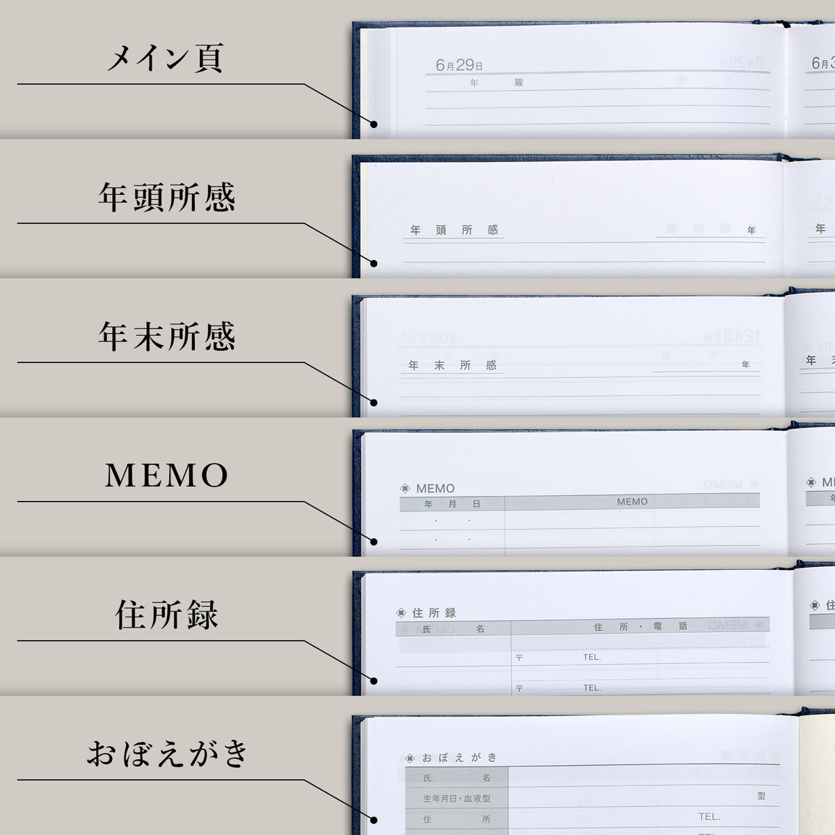 3年用日記《日付表示あり》B5 アピカ D302 日記帳