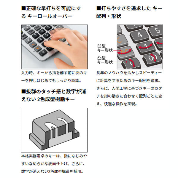 CASIO 実務電卓 (検算)デスクタイプ カシオ計算機 DS-10WKA-N