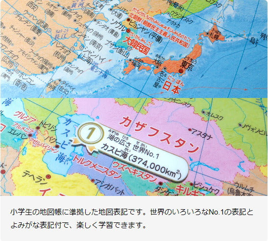 小学生の地球儀(行政タイプ) 球形20cm 初めての地球儀に! 地球儀スケール付 レイメイ藤井 OYV11 読み仮名つき やさしい ギフト