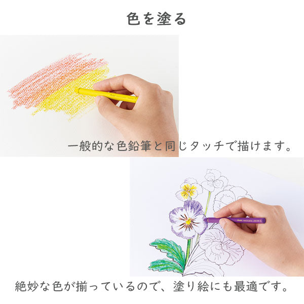 Vistage《ヴィスタージュ》 水彩スティック <12色入り 全5種類> ぺんてる GSS1-12** *