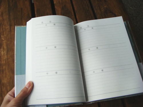 3年日記《日付表示なし》A5サイズ 横書 アピカ D309