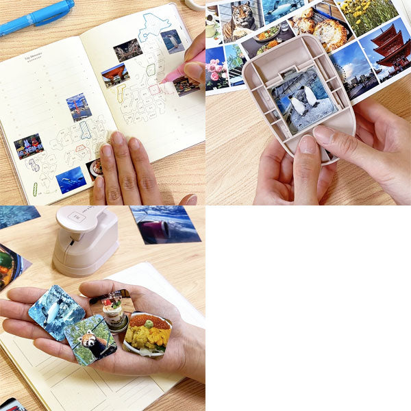 ピクログ パンチ 38mm角丸 クツワ 169SH