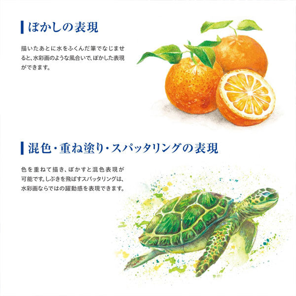 Artline 水彩色鉛筆 LIBERIO《リベリオ》 シヤチハタ KCPL-W60C/H、W100C/H 【送料無料*】