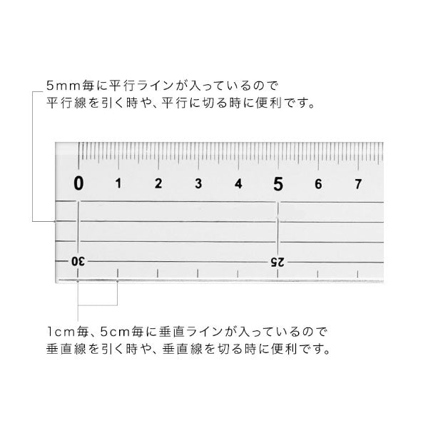 カッティング定規 [30cm] レイメイ藤井 ACJ2005