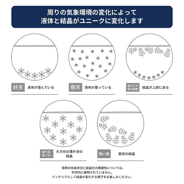 (1/9園田)《Fun Science》ストームグラス クラウド (オーバルスタンド) 茶谷産業 333400