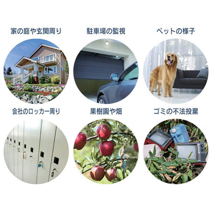 *1/21原田*液晶画面付き SDカード録画式センサーカメラ ナカバヤシ SD3000LCD 【送料無料*】
