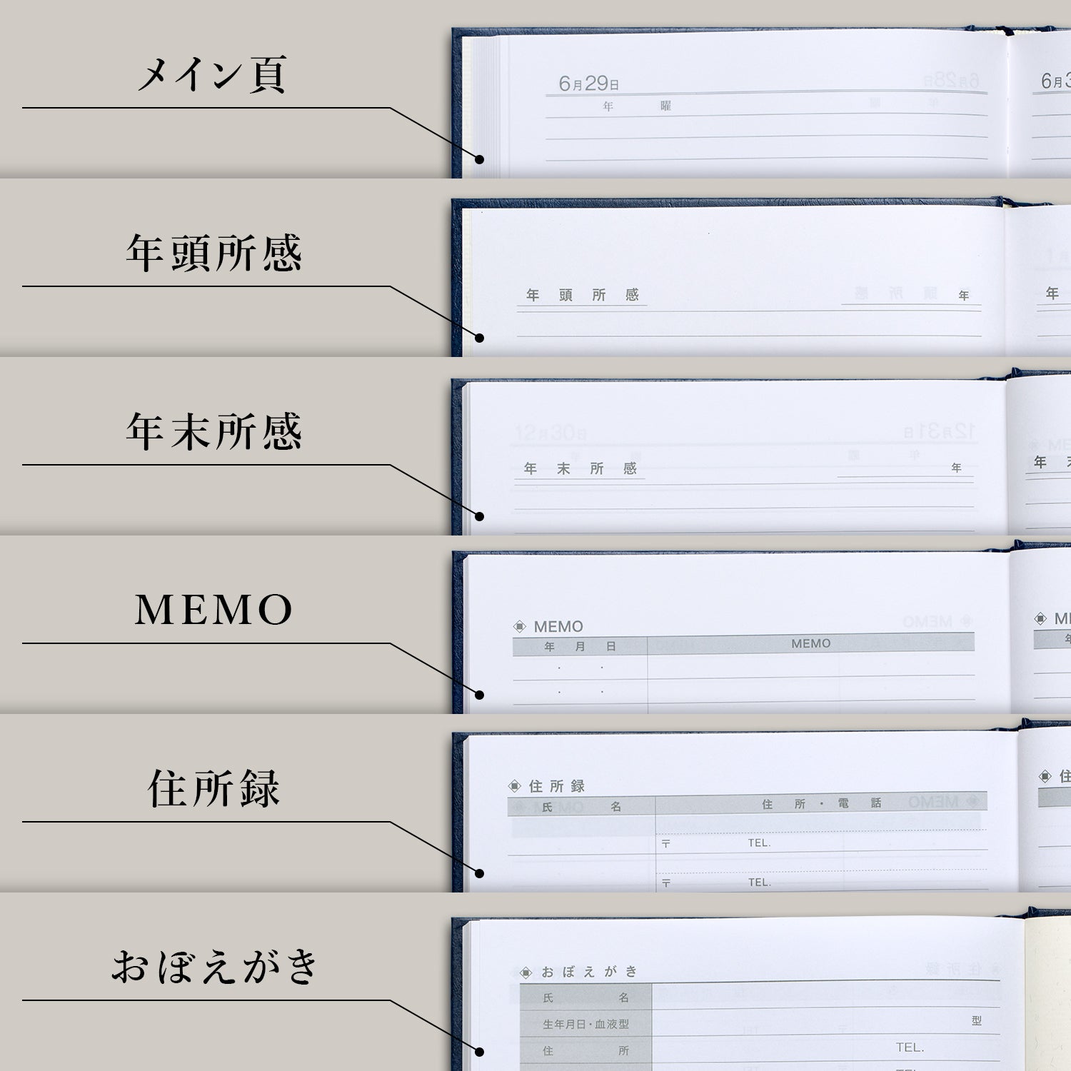 3年用日記《日付表示あり》B5 アピカ　D302 日記帳