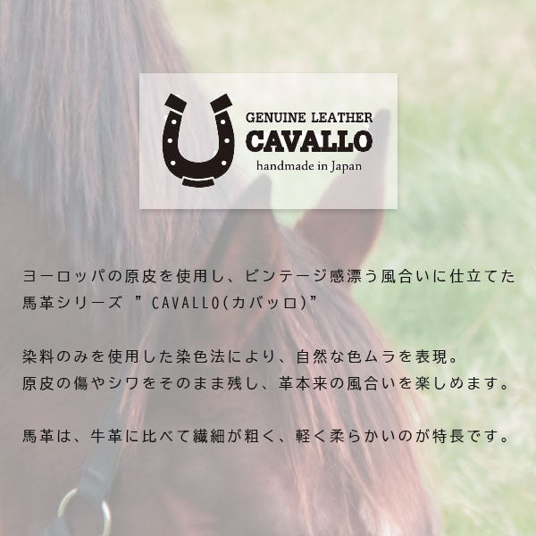 *3/11原田*≪CAVALLO≫ ホースハイド 三角ペンケース [全3色] ガルフストリーム CAV-SKP