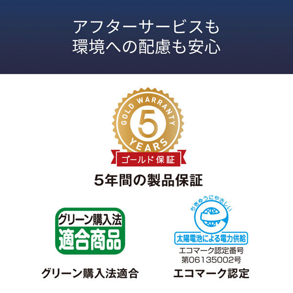 CASIO 実務電卓 （検算）デスクタイプ  カシオ計算機 DS-10WKA-N