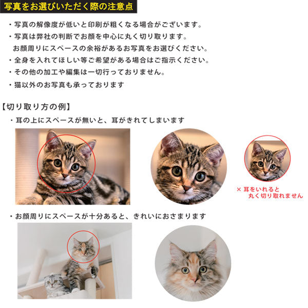 【写真・名入れ可能】猫のケース オリジナル 桐箱 [長方形]