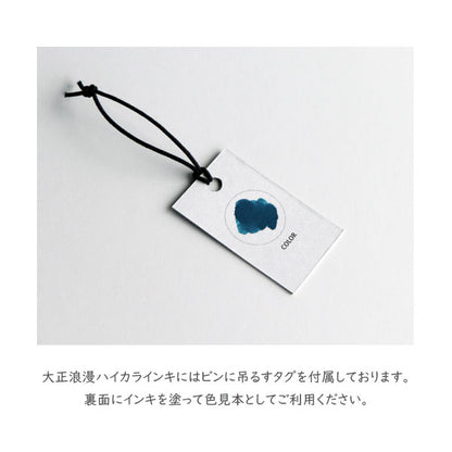ギター 大正浪漫 ハイカラインキ 40ml [全４色] 寺西化学工業 　TRH-40ML-T
