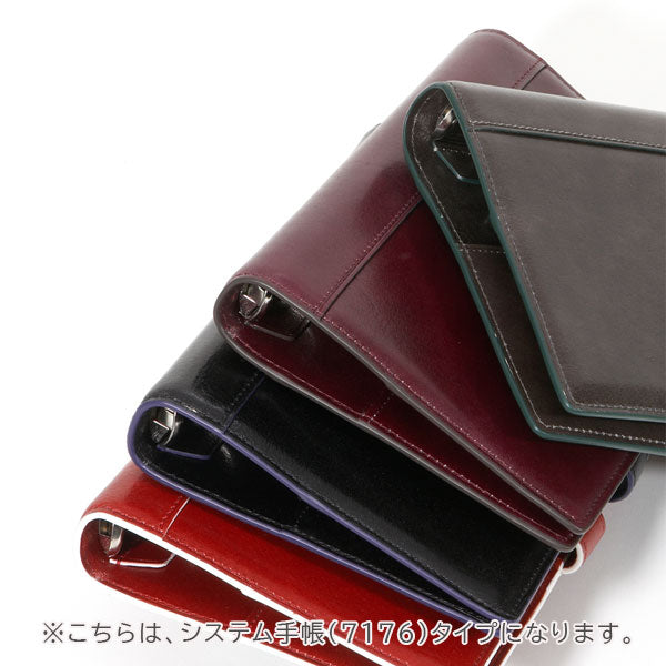 ASHFORD イシュー《Issue》MINI6サイズ［1269］全4色 リングサイズ19mm ベルト アシュフォード【送料無料】
