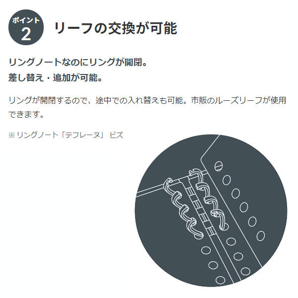 リングノート「テフレーヌ」 ビズ B5  2色  KINGJIM 9855TEB**