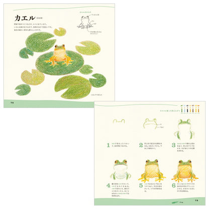 【ネコポス便対応可能商品】色えんぴつでかわいい水の生き物  パイインターナショナル 1745-4377