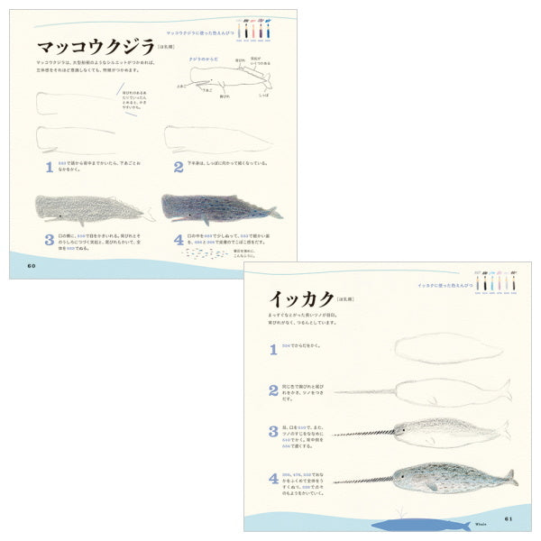 【ネコポス便対応可能商品】色えんぴつでかわいい水の生き物  パイインターナショナル 1745-4377