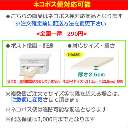 当店オリジナル《Georges Lapin/ジョルジュラパン》エナージェルフィログラフィー ゲルインキボールペン 0.5ｍｍ 繰り出し式 [全6色/インク色：黒] ぺんてる BLN2005T*