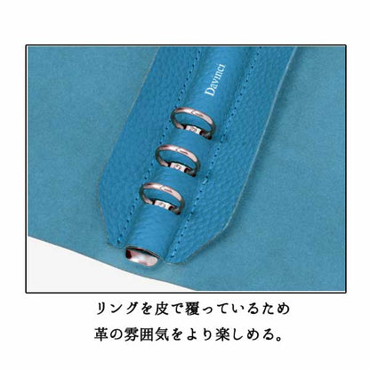 ダ・ヴィンチ ドルチェメンテ ES (A5サイズ) システム手帳 リング径15mm [全5色] レイメイ藤井 DSA1092* 【送料無料】