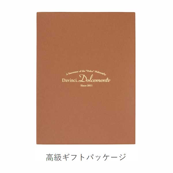 ダ・ヴィンチ ドルチェメンテ ES (聖書サイズ) システム手帳 リング径15mm [全5色] レイメイ藤井 DB1093* 【送料無料】