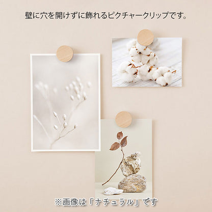 ピクチャークリップ 木製 3個入り [全4色] デザインフィル(ミドリ) 35494〜35497  [M便 1/4]