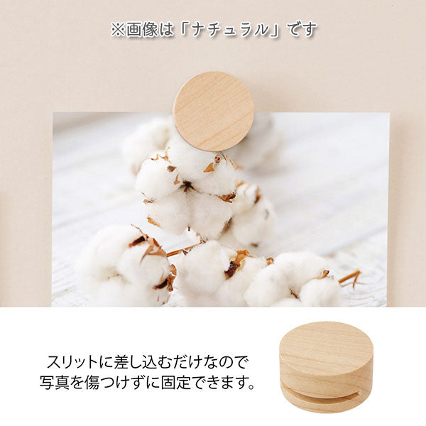 ピクチャークリップ 木製 3個入り [全4色] デザインフィル(ミドリ) 35494〜35497  [M便 1/4]