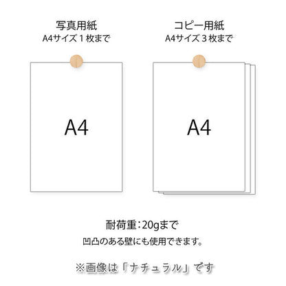 ピクチャークリップ 木製 3個入り [全4色] デザインフィル(ミドリ) 35494〜35497  [M便 1/4]