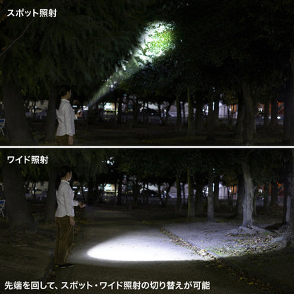 【12/12角乢】ペン型ライト ショートタイプ/ロングタイプ サンワサプライ LED-PEN2/3BK [M便 1/10]