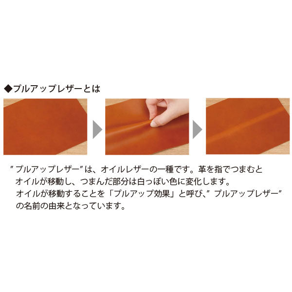 *12/17原田*アンティコルド≪ANTIQOLD≫ ペンケースF［全2色］ パイロット AQPSF-01F [M便 1/6]