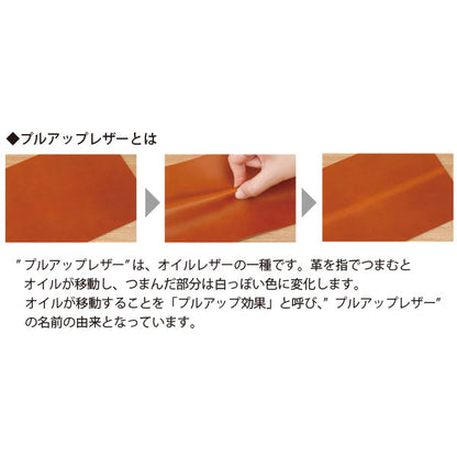 *12/17原田*アンティコルド≪ANTIQOLD≫ ペンケースM［全2色］ パイロット AQPSF-01