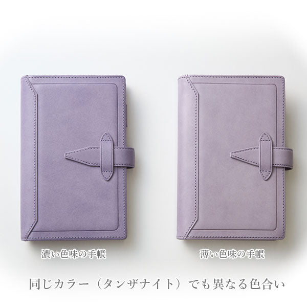 ダ・ヴィンチ ロロマクラシック ジュエルコレクション＆ステンドルーラー システム手帳 聖書サイズ リング内径：15mm [全2色] レイメイ藤井 DB1478 【送料無料*】