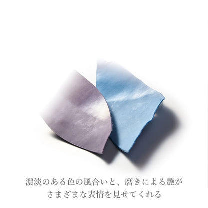 ダ・ヴィンチ ロロマクラシック ジュエルコレクション＆ステンドルーラー システム手帳 ポケットサイズ リング内径：14mm [全2色] ※保証書付 レイメイ藤井 DP1479 【送料無料*】