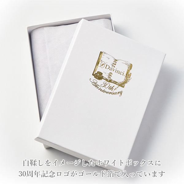 ダ・ヴィンチ ロロマクラシック ジュエルコレクション＆ステンドルーラー システム手帳 ポケットサイズ リング内径：14mm [全2色] ※保証書付 レイメイ藤井 DP1479 【送料無料*】