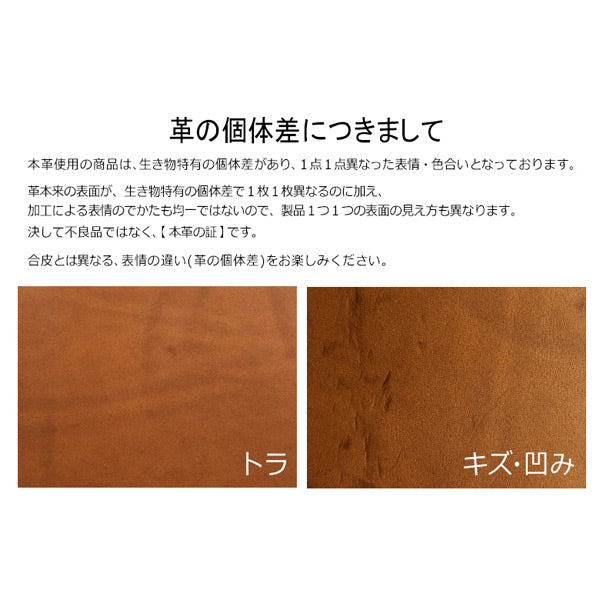 5012 Liscio《リスシオ》 6穴リングレザーバインダー 11mm径リング A5サイズ シルバーリング [全4色] PLOTTER 850-777-168-09/10/11/12 【送料無料※】