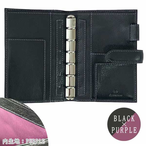 NATURA ナトゥーラ システム手帳 MINI6 リング径：11mm belt [全2色] アシュフォード 1299 【送料無料*】