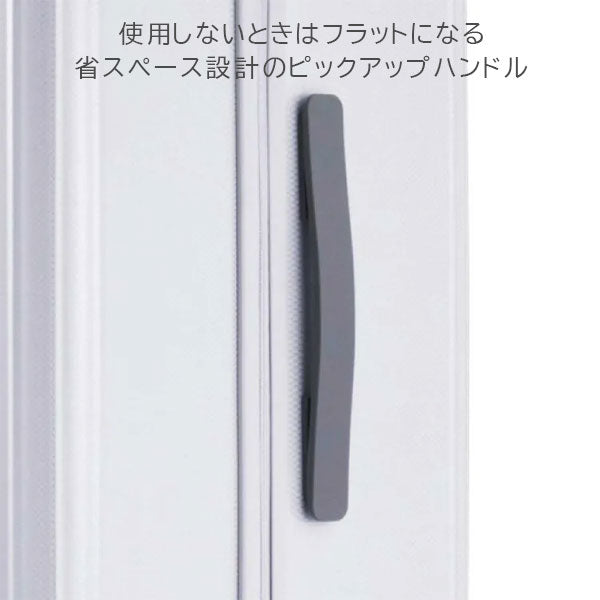 スーツケース パリセイド 3-Z［全3色］100L エース06916【送料無料*】