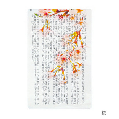 透明写真栞 [全6種] moments AND002 [M便 1/200]