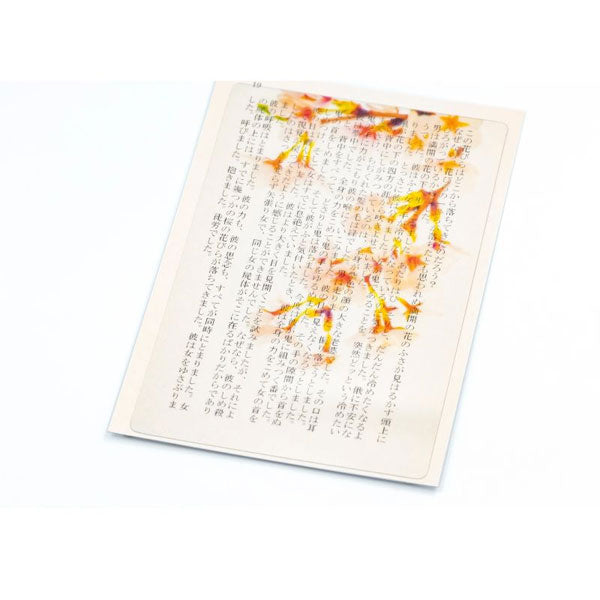 透明写真栞 [全6種] moments AND002 [M便 1/200]
