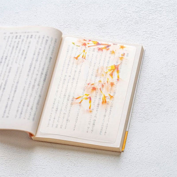 透明写真栞 [全6種] moments AND002 [M便 1/200]