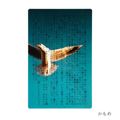 透明写真栞 [全6種] moments AND002 [M便 1/200]