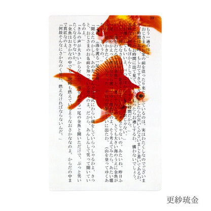 透明写真栞 [全6種] moments AND002 [M便 1/200]