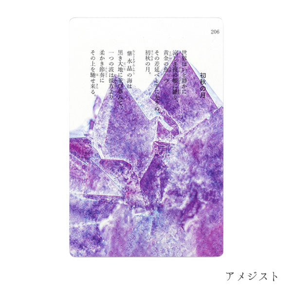 透明写真栞 [全6種] moments AND002 [M便 1/200]
