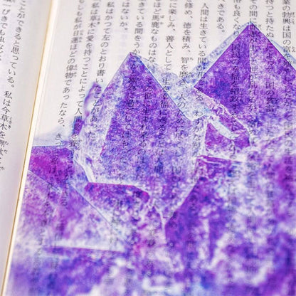透明写真栞 [全6種] moments AND002 [M便 1/200]