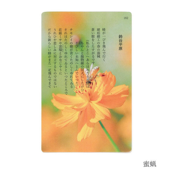 透明写真栞 [全6種] moments AND002 [M便 1/200]