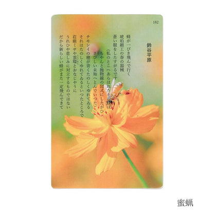 透明写真栞 [全6種] moments AND002 [M便 1/200]