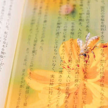 透明写真栞 [全6種] moments AND002 [M便 1/200]