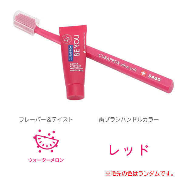 BE YOUシリーズ 歯ブラシ・歯みがき粉セット [全6色] クラプロックス BY1- [M便 1/4]