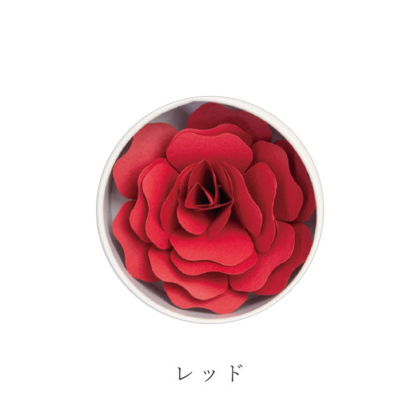 Hanafumi -はなふみ- [全4色] 大阪書籍印刷 HF-001RD1/PK1/LB1/YE1