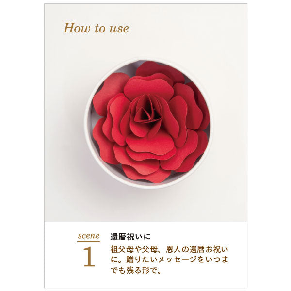 Hanafumi -はなふみ- [全4色] 大阪書籍印刷 HF-001RD1/PK1/LB1/YE1