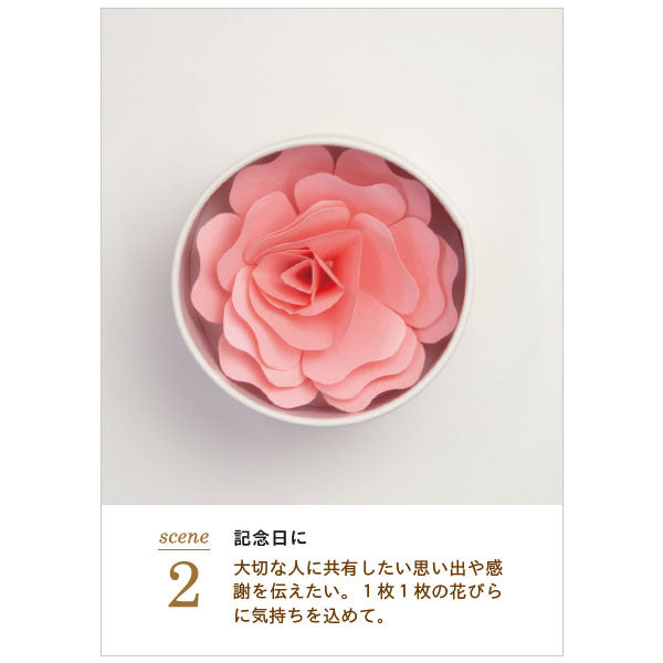 Hanafumi -はなふみ- 追加カード 5枚入り [全4色] 大阪書籍印刷 HF002-RD/PK/LB/YE